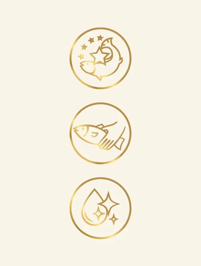 Lachsräucherei Fuchs Icons